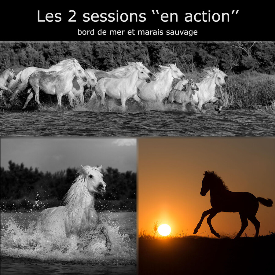 Stage ''week-end en action'' :  19 & 20 avril 2025